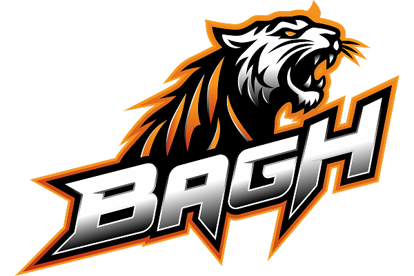 bagh casino logo